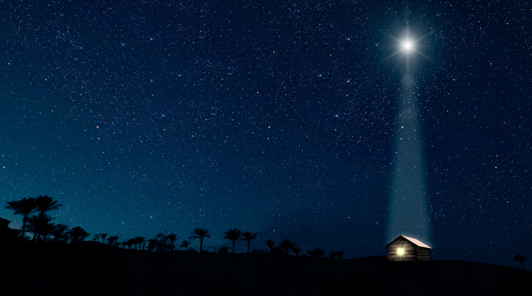 What Christmas Teaches Me as a Lash Artist